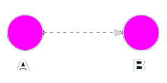 Prance Graphic Prance Graphic